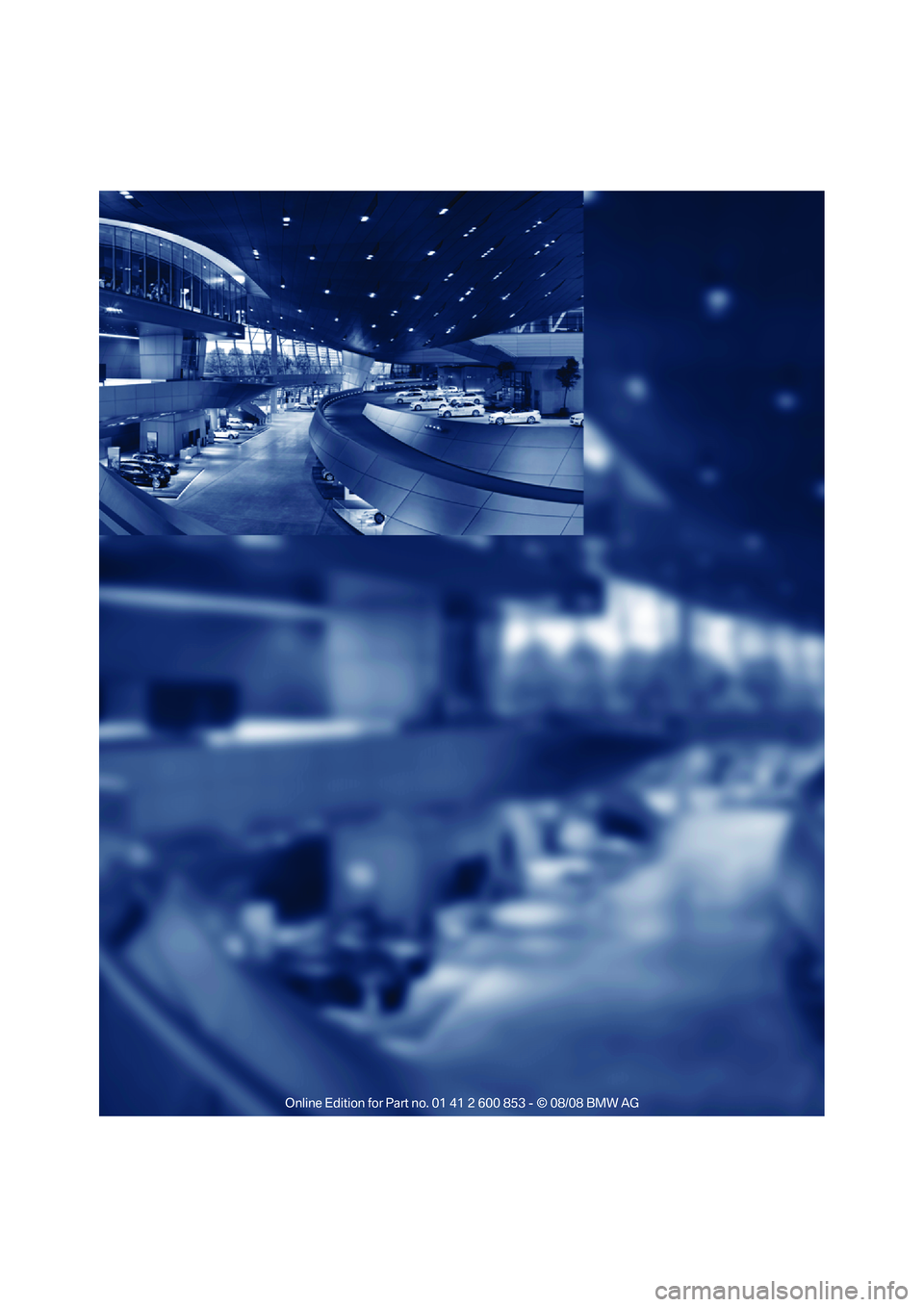 BMW 1 SERIES 2009 Owners Manual BMW 1 SERIES 2009 Owners Manual