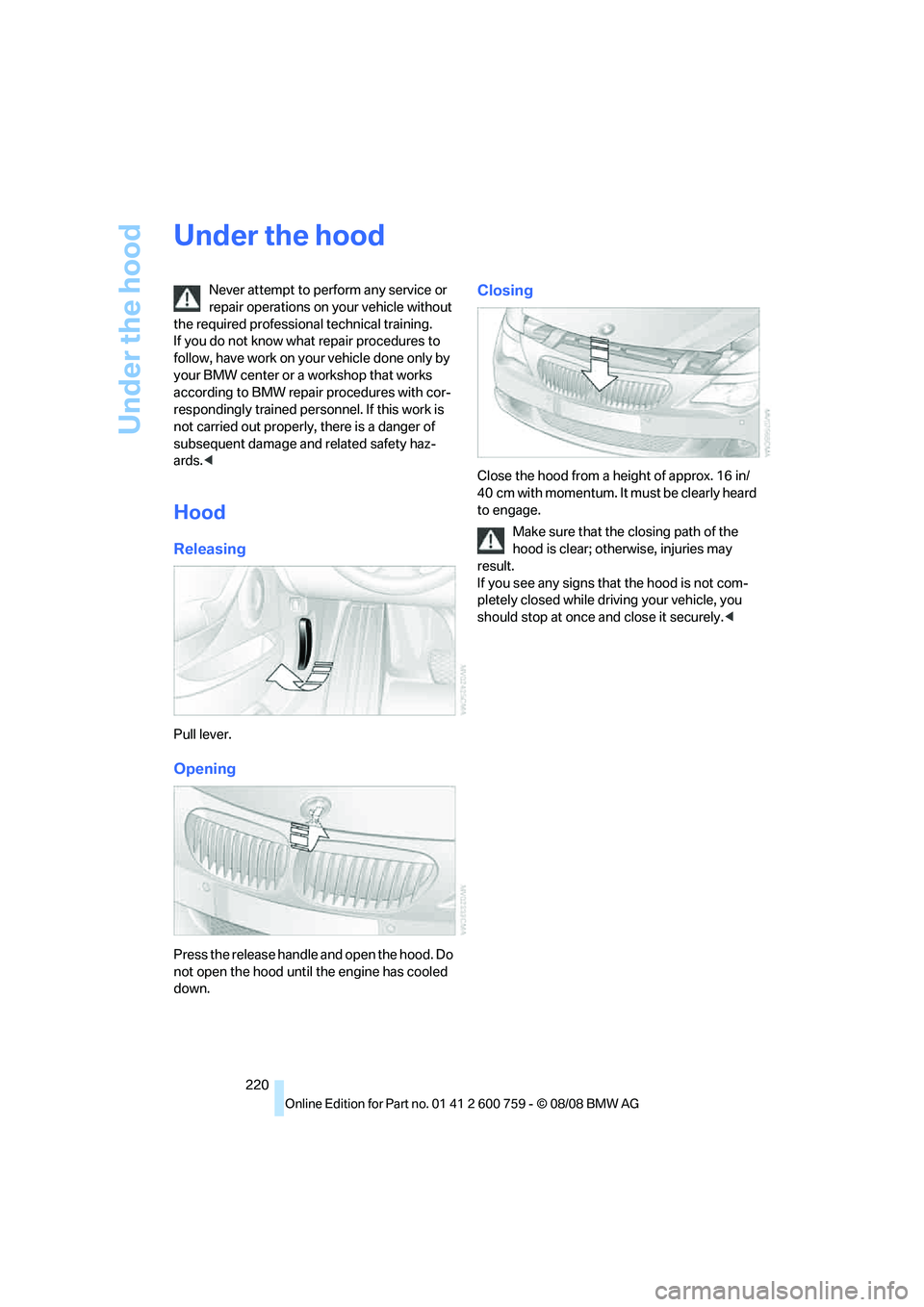 BMW 6 SERIES 2009  Owners Manual Under the hood
220
Under the hood
Never attempt to perform any service or 
repair operations on your vehicle without 
the required professional technical training. 
If you do not know what repair proc