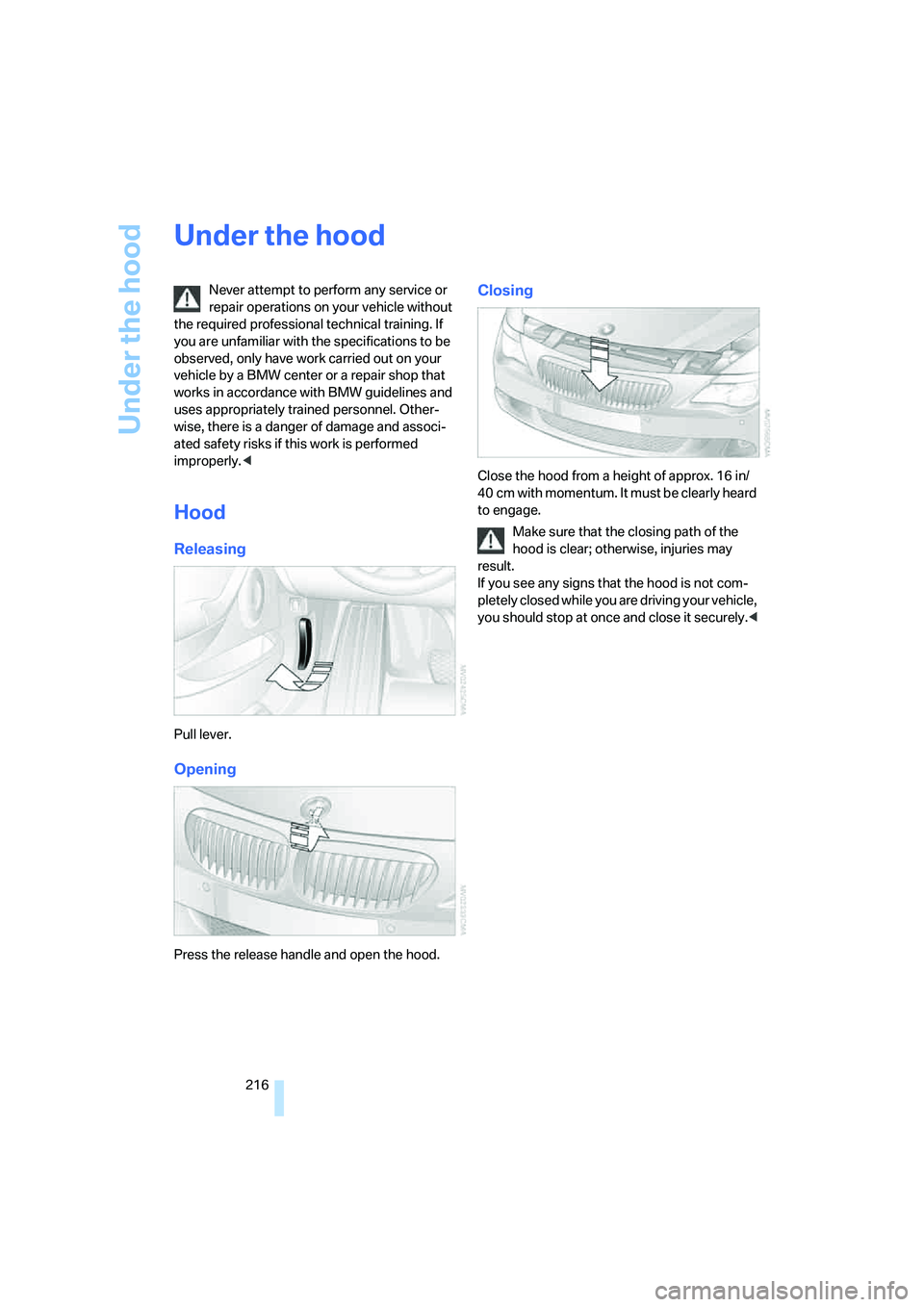 BMW 6 SERIES 2008  Owners Manual Under the hood
216
Under the hood
Never attempt to perform any service or 
repair operations on your vehicle without 
the required professional technical training. If 
you are unfamiliar with the spec