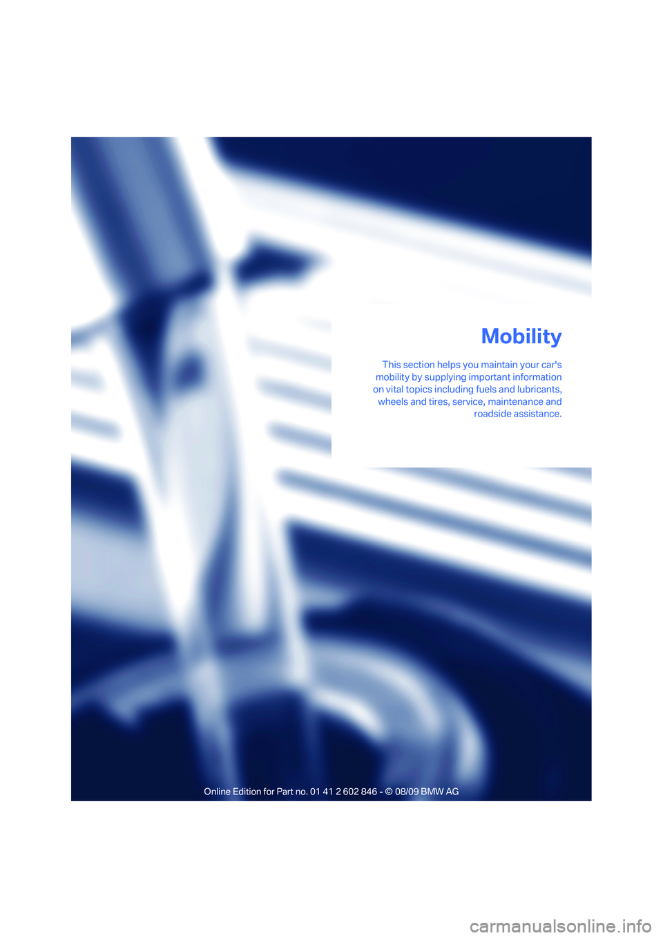 BMW 128I CONVERTIBLE 2010  Owners Manual Mobility
This section helps you maintain your cars
mobility by supplying important information
on vital topics including fuels and lubricants,
wheels and tires, service, maintenance and
roadside assi