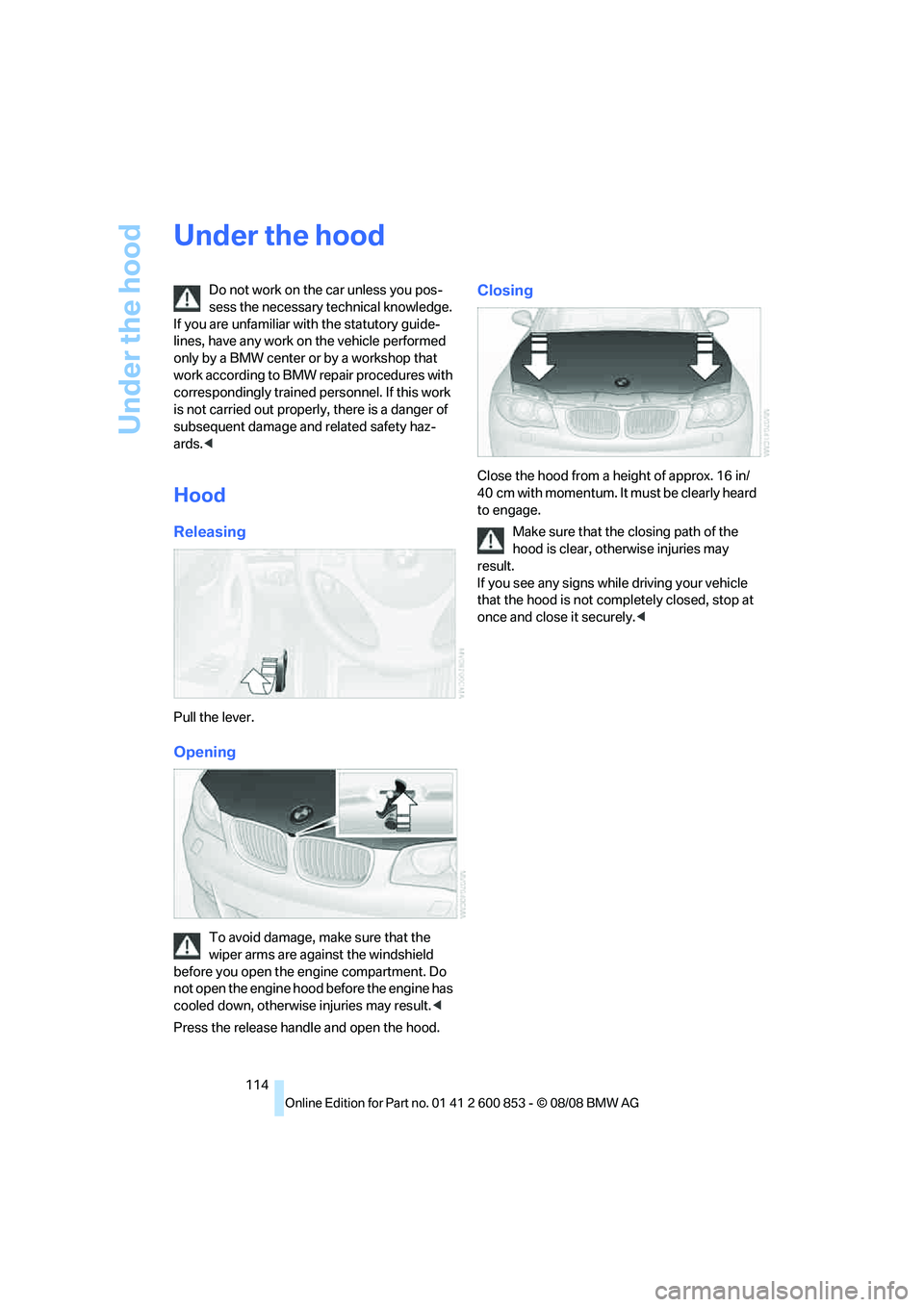 BMW 128I CONVERTIBLE 2009 Owners Manual Under the hood
114
Under the hood
Do not work on the car unless you pos-
sess the necessary technical knowledge.
If you are unfamiliar with the statutory guide-
lines, have any work on the vehicle pe BMW 128I CONVERTIBLE 2009 Owners Manual Under the hood
114
Under the hood
Do not work on the car unless you pos-
sess the necessary technical knowledge.
If you are unfamiliar with the statutory guide-
lines, have any work on the vehicle pe