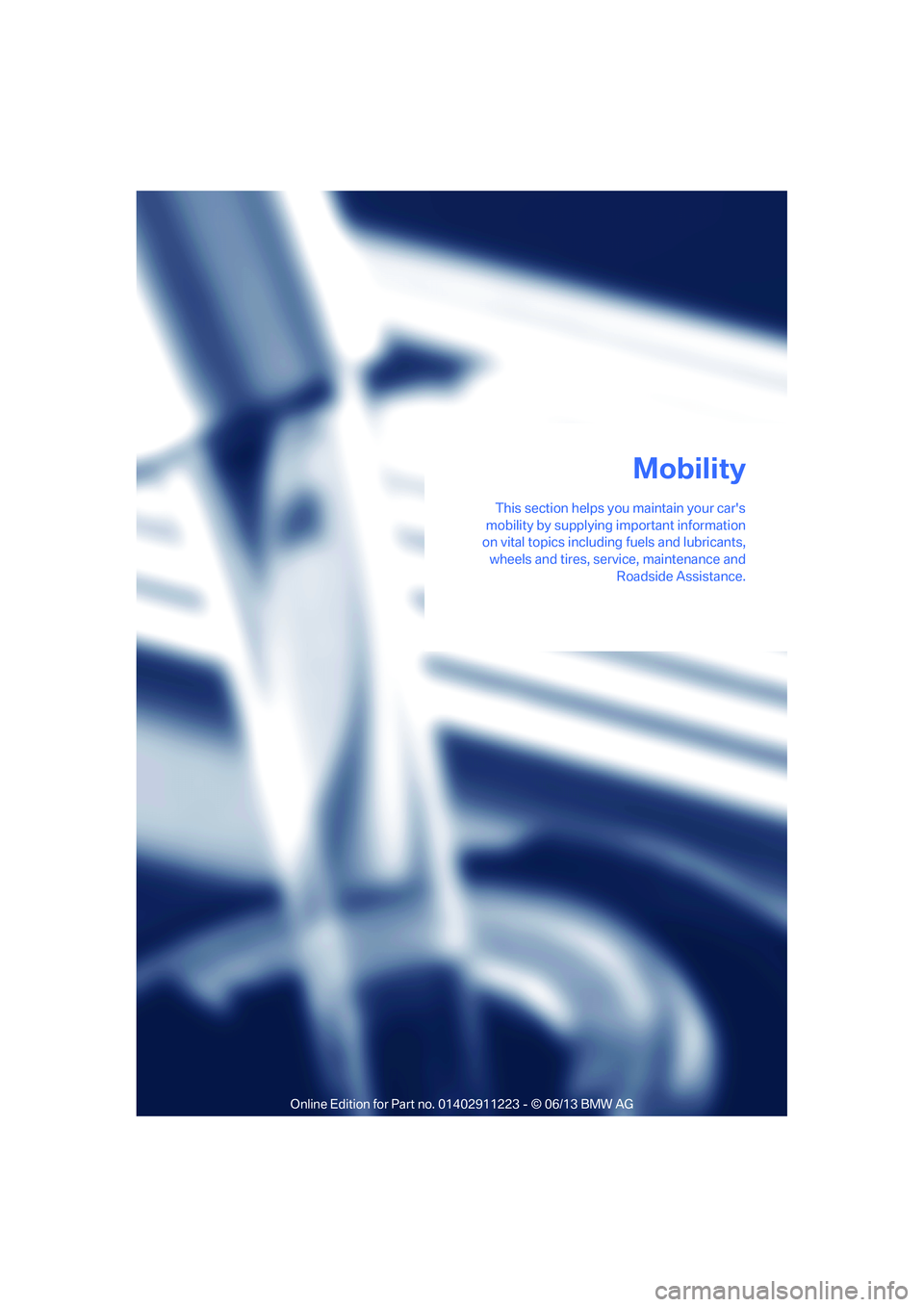 BMW 135I CONVERTIBLE 2013  Owners Manual This section helps you maintain your cars
mobility by supplying important information
on vital topics including  fuels and lubricants,
wheels and tires, serv ice, maintenance and
Roadside Assistance.