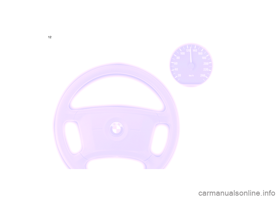 BMW 320i 2004 User Guide  
12 