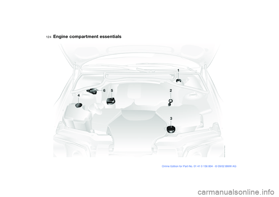 BMW 330I 2003 Owners Manual 124
Engine compartment essentials BMW 330I 2003 Owners Manual 124
Engine compartment essentials