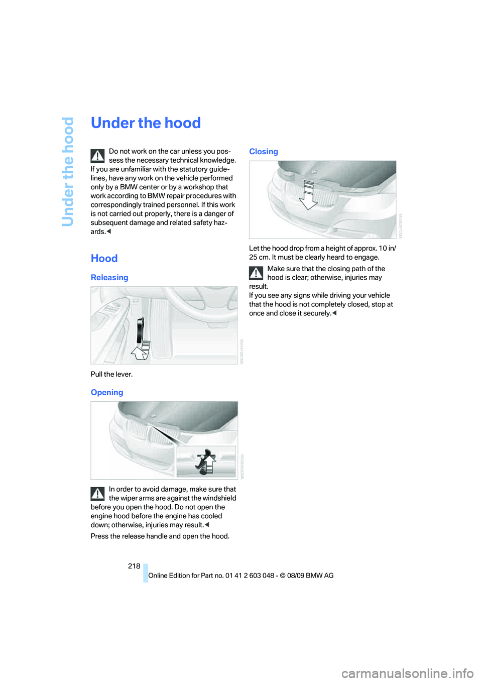 BMW 330D 2010  Owners Manual Under the hood
218
Under the hood
Do not work on the car unless you pos-
sess the necessary technical knowledge. 
If you are unfamiliar with the statutory guide-
lines, have any work on the vehicle pe