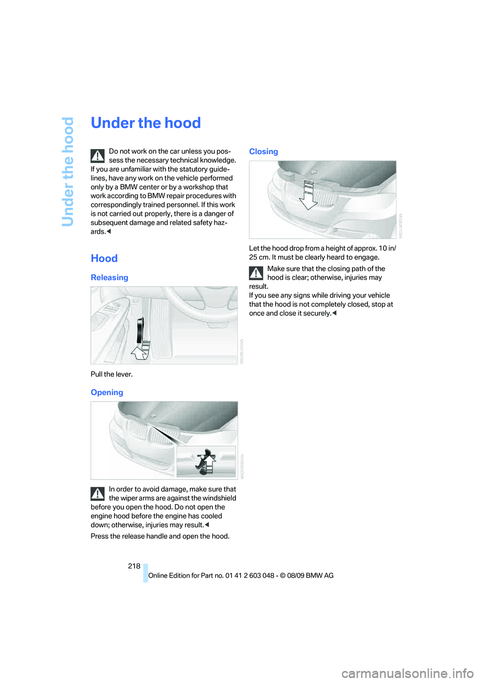 BMW 335I 2010  Owners Manual Under the hood
218
Under the hood
Do not work on the car unless you pos-
sess the necessary technical knowledge. 
If you are unfamiliar with the statutory guide-
lines, have any work on the vehicle pe