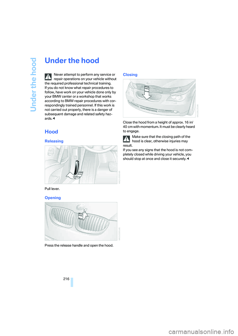 BMW 530I 2007  Owners Manual Under the hood
216
Under the hood
Never attempt to perform any service or 
repair operations on your vehicle without 
the required professional technical training. 
If you do not know what repair proc