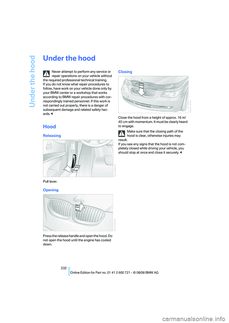 BMW 535I XDRIVE 2009  Owners Manual Under the hood
232
Under the hood
Never attempt to perform any service or 
repair operations on your vehicle without 
the required professional technical training. 
If you do not know what repair proc