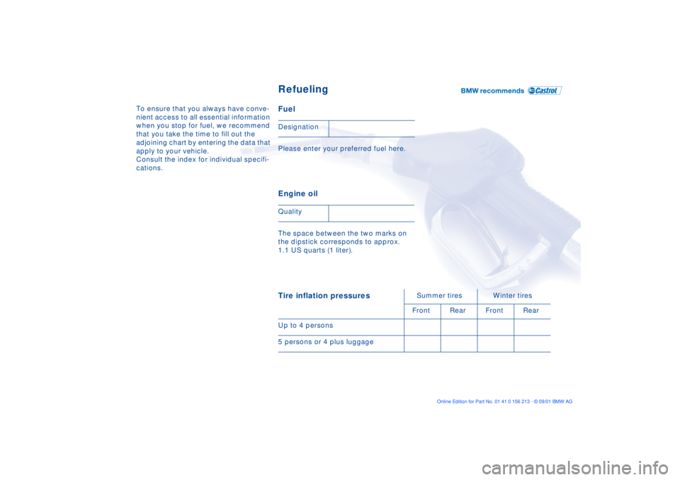 BMW 540I SEDAN 2002  Owners Manual To ensure that you always have conve-
nient access to all essential information 
when you stop for fuel, we recommend 
that you take the time to fill out the 
adjoining chart by entering the data that