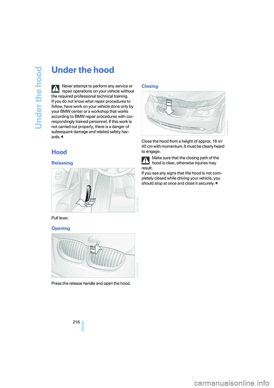 BMW 550I 2007 Owners Manual Under the hood
216
Under the hood
Never attempt to perform any service or
repair operations on your vehicle without
the required professional technical training.
If you do not know what repair proc BMW 550I 2007 Owners Manual Under the hood
216
Under the hood
Never attempt to perform any service or
repair operations on your vehicle without
the required professional technical training.
If you do not know what repair proc