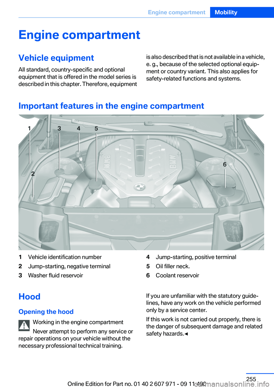 BMW 640I COUPE 2012  Owners Manual Engine compartmentVehicle equipment
All standard, country-specific and optional
equipment that is offered in the model series is
described in this chapter. Therefore, equipmentis also described that i