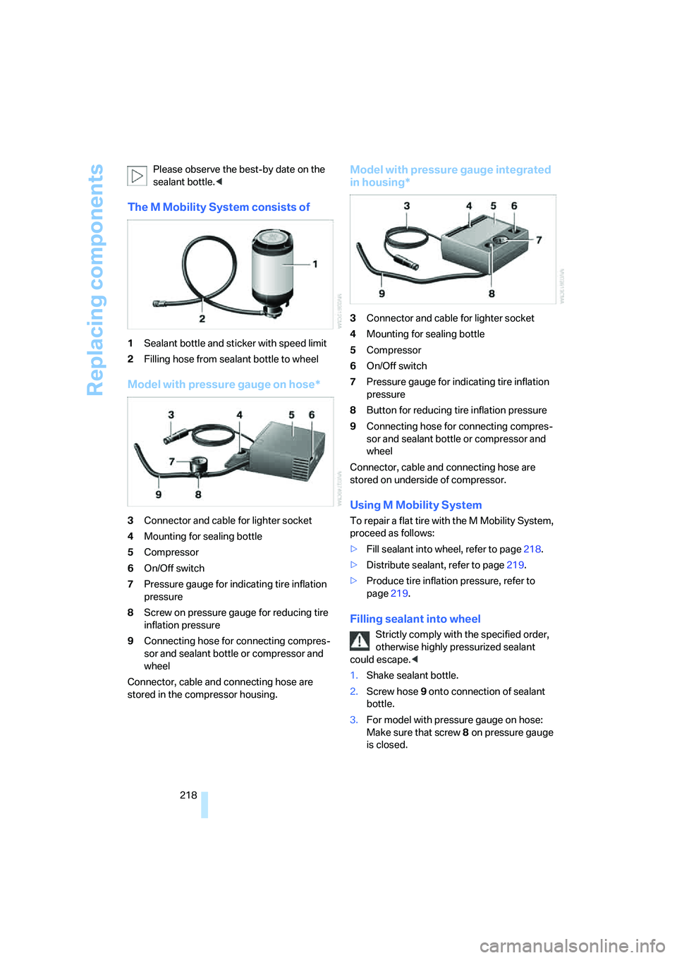 BMW M5 2008  Owners Manual Replacing components
218 Please observe the best-by date on the 
sealant bottle.<
The M Mobility System consists of
1Sealant bottle and sticker with speed limit
2Filling hose from sealant bottle to wh