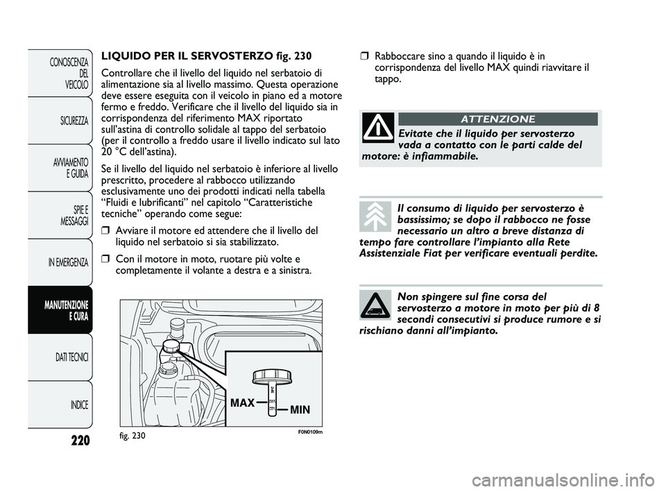 FIAT DUCATO 2009  Libretto Uso Manutenzione (in Italian) F0N0109mfig. 230
LIQUIDO PER IL SERVOSTERZO fig. 230
Controllare che il livello del liquido nel serbatoio di
alimentazione sia al livello massimo. Questa operazione
deve essere eseguita con il veicolo