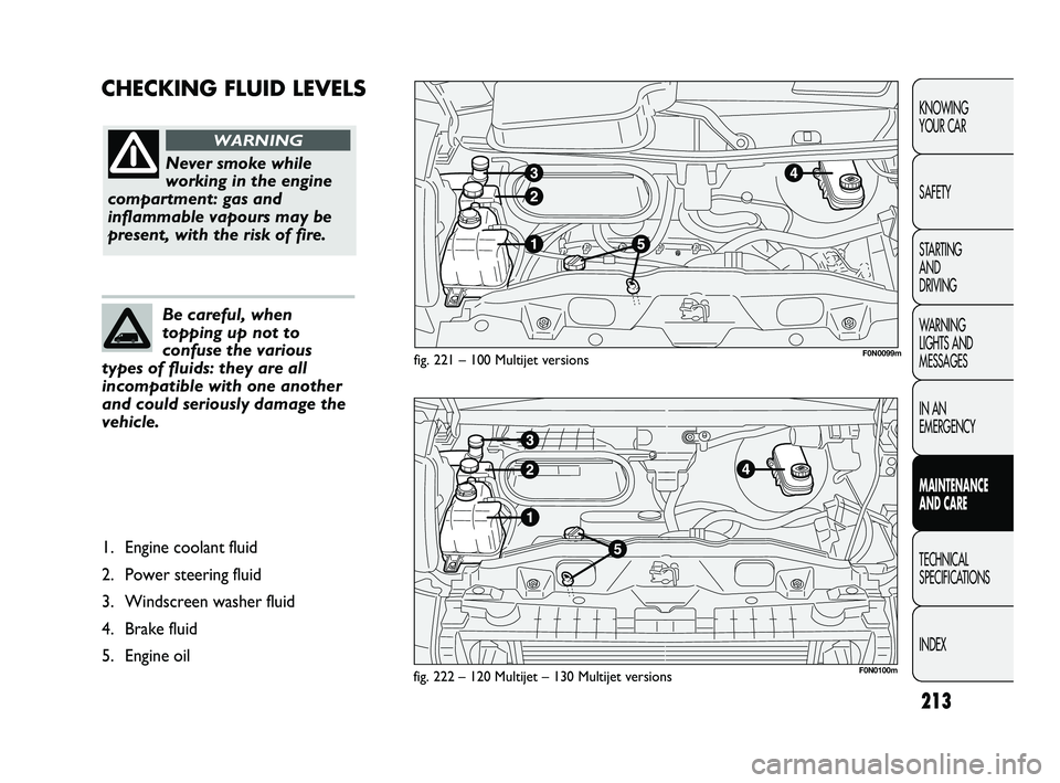 FIAT DUCATO 2010  Owner handbook (in English) 213
KNOWING 
YOUR CAR
SAFETY
STARTING 
AND 
DRIVING
WARNING 
LIGHTS AND 
MESSAGES
IN AN 
EMERGENCY
MAINTENANCE 
AND CARE
TECHNICAL 
SPECIFICATIONS
INDEX
CHECKING FLUID LEVELS
fig. 221 – 100 Multijet