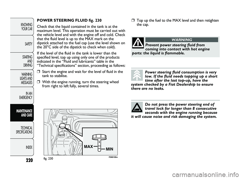 FIAT DUCATO 2009  Owner handbook (in English) F0N0109mfig. 230
POWER STEERING FLUID fig. 230
Check that the liquid contained in the tank is at the
maximum level. This operation must be carried out with
the vehicle level and with the engine off an