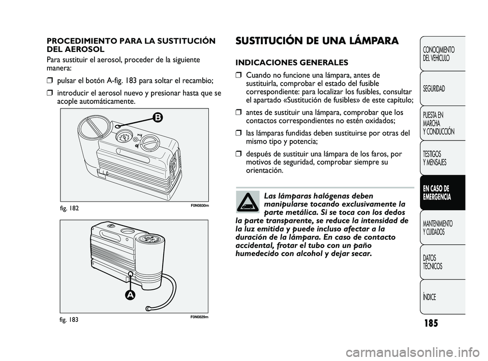 FIAT DUCATO 2010  Manual de Empleo y Cuidado (in Spanish) 185
B
F0N0830mfig. 182
F0N0829mfig. 183
SUSTITUCIÓN DE UNA LÁMPARA
INDICACIONES GENERALES
❒Cuando no funcione una lámpara, antes de
sustituirla, comprobar el estado del fusible
correspondiente: p