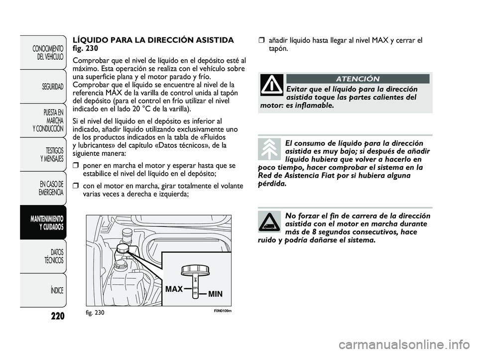 FIAT DUCATO 2009  Manual de Empleo y Cuidado (in Spanish) F0N0109mfig. 230
LÍQUIDO PARA LA DIRECCIÓN ASISTIDA
fig. 230
Comprobar que el nivel de líquido en el depósito esté al
máximo. Esta operación se realiza con el vehículo sobre
una superficie pla
