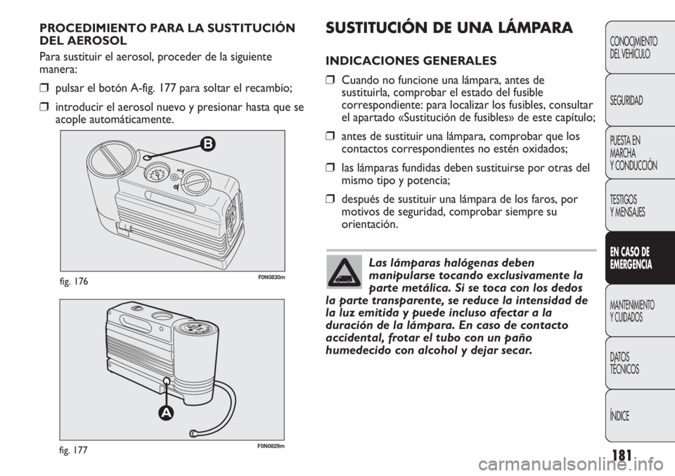 FIAT DUCATO 2013 Manual de Empleo y Cuidado (in Spanish) 181
B
F0N0830mfig. 176
F0N0829mfig. 177
SUSTITUCIÓN DE UNA LÁMPARA
INDICACIONES GENERALES
❒Cuando no funcione una lámpara, antes de
sustituirla, comprobar el estado del fusible
correspondiente: p FIAT DUCATO 2013 Manual de Empleo y Cuidado (in Spanish) 181
B
F0N0830mfig. 176
F0N0829mfig. 177
SUSTITUCIÓN DE UNA LÁMPARA
INDICACIONES GENERALES
❒Cuando no funcione una lámpara, antes de
sustituirla, comprobar el estado del fusible
correspondiente: p