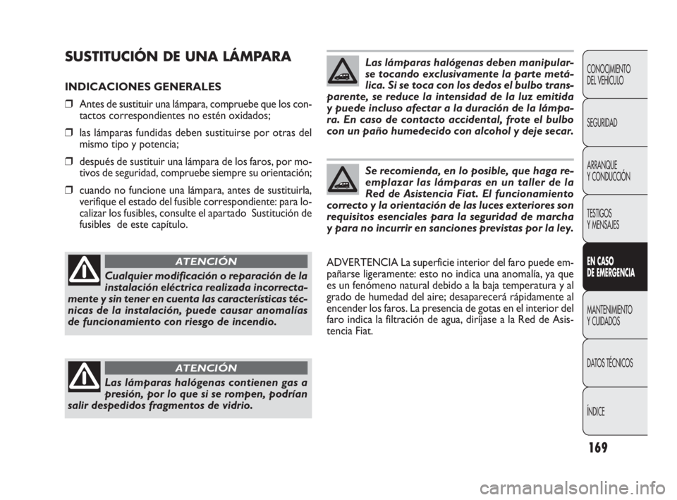 FIAT DOBLO COMBI 2010  Manual de Empleo y Cuidado (in Spanish) 169
SUSTITUCIÓN DE UNA LÁMPARA
INDICACIONES GENERALES
❒Antes de sustituir una lámpara, compruebe que los con-
tactos correspondientes no estén oxidados;
❒las lámparas fundidas deben sustituir