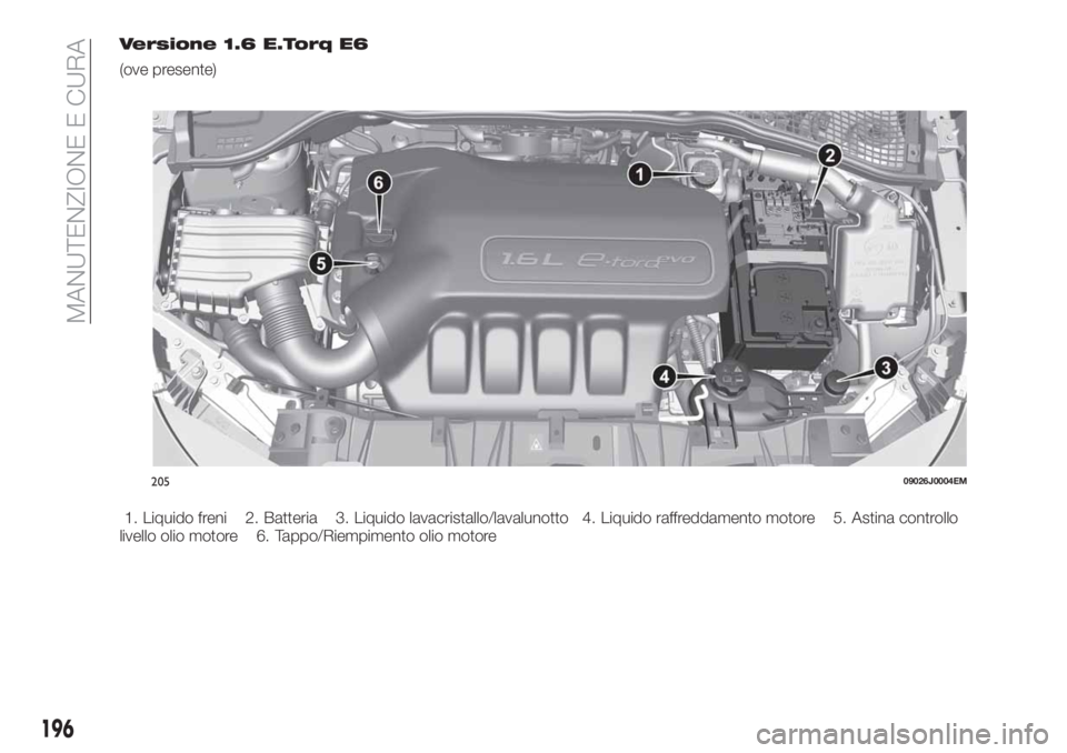 FIAT TIPO 5DOORS STATION WAGON 2020  Libretto Uso Manutenzione (in Italian) Versione 1.6 E.Torq E6
(ove presente)
1. Liquido freni 2. Batteria 3. Liquido lavacristallo/lavalunotto 4. Liquido raffreddamento motore 5. Astina controllo
livello olio motore 6. Tappo/Riempimento ol