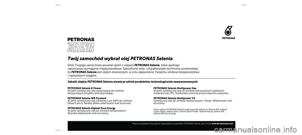 FIAT DOBLO PANORAMA 2019  Instrukcja obsługi (in Polish) 