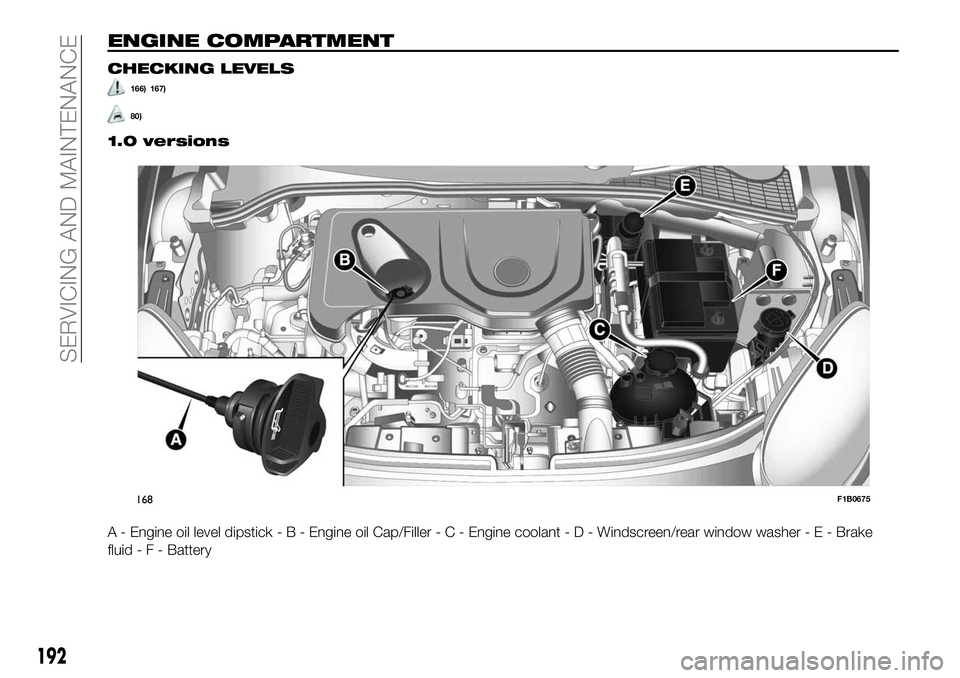 FIAT 500X 2019  Owner handbook (in English) ENGINE COMPARTMENT
CHECKING LEVELS
166) 167)
80)
1.0 versions
A - Engine oil level dipstick-B-Engine oil Cap/Filler-C-Engine coolant-D-Windscreen/rear window washer - E - Brake
fluid-F-Battery
168F1B0