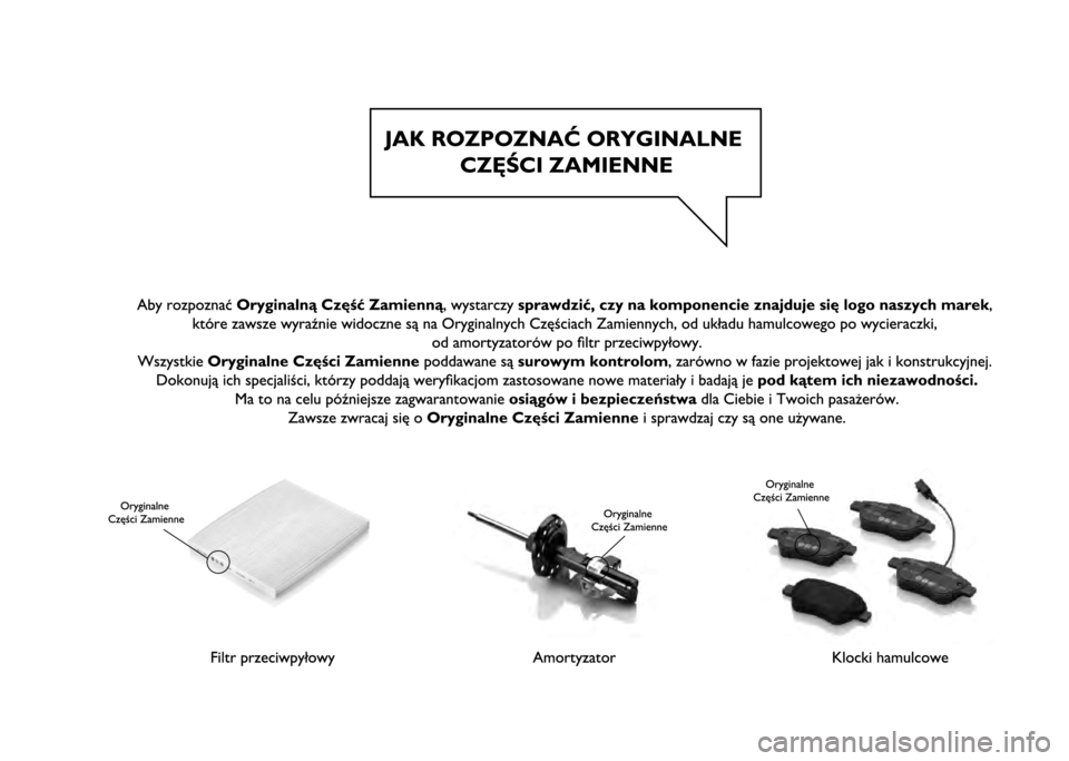 FIAT PANDA 2020  Instrukcja obsługi (in Polish) 