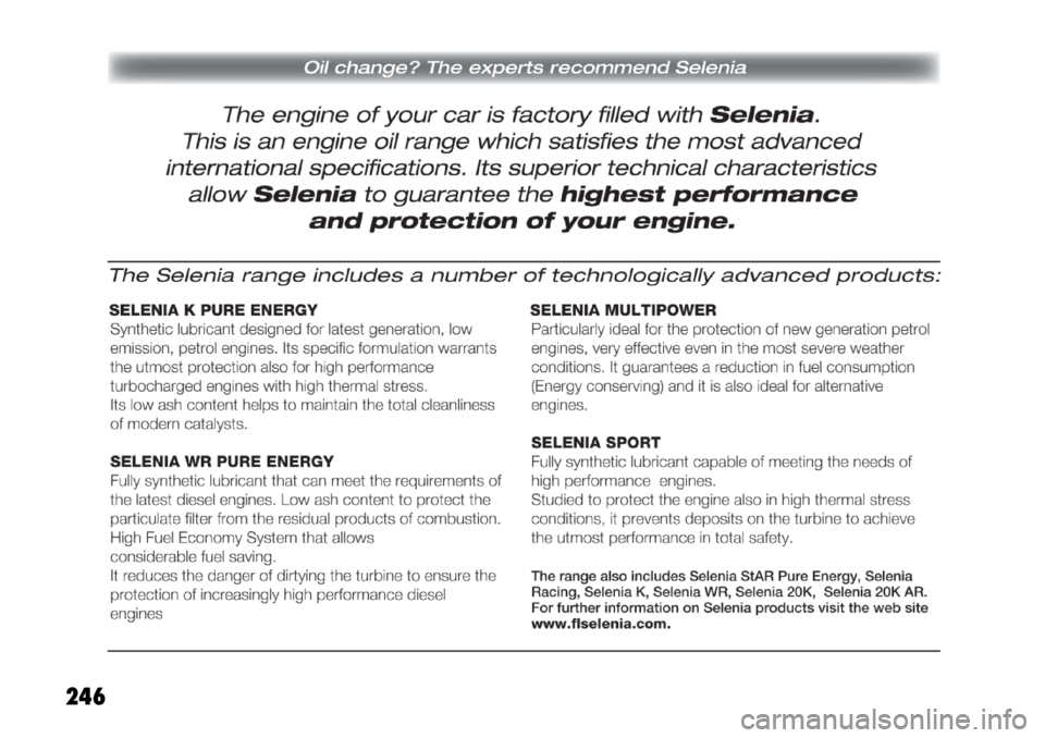 FIAT FREEMONT 2011 Owner handbook (in English) 246 FIAT FREEMONT 2011 Owner handbook (in English) 246