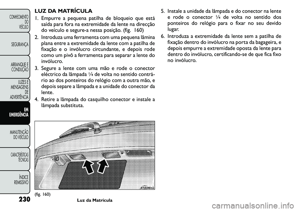 FIAT FREEMONT 2011  Manual de Uso e Manutenção (in Portuguese) LUZ DA MATRÍCULA 
1. Empurre a pequena patilha de bloqueio que estásaída para fora na extremidade da lente na direcção 
do veículo e segure-a nessa posição. (fig. 160)
2. Introduza uma ferrame
