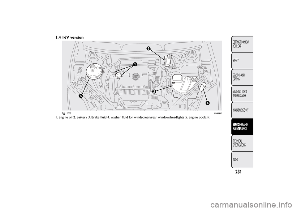 FIAT BRAVO 2013 2.G Owners Manual 1.4 16V version1. Engine oil 2. Battery 3. Brake fluid 4. washer fluid for windscreen/rear window/headlights 5. Engine coolant
fig. 198
F0Q0817
231GETTING TO KNOW
YOUR CAR
SAFETY
STARTING AND
DRIVING
