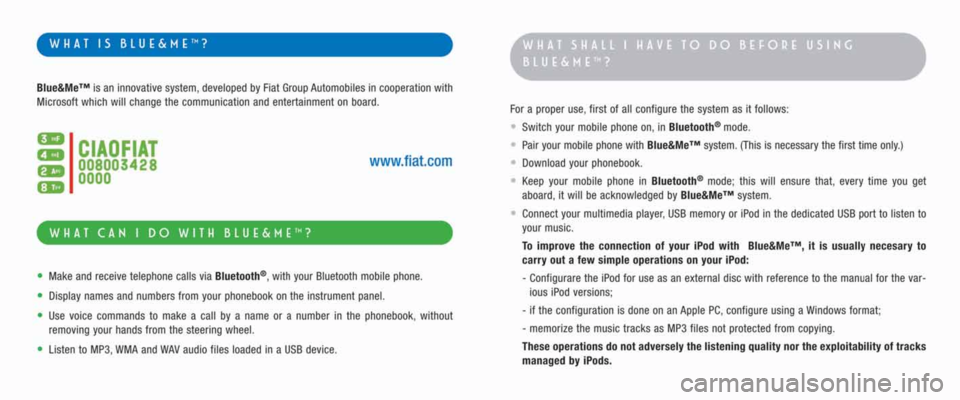 FIAT DUCATO 250 2008 3.G Blue And Me User Manual 