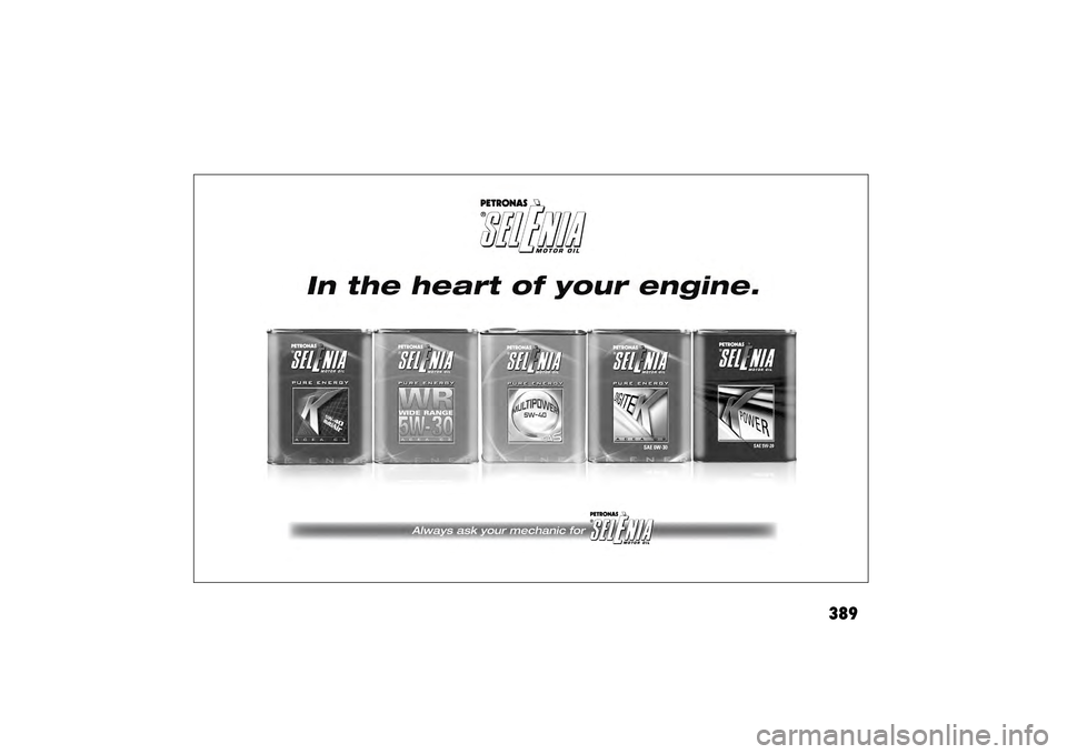 FIAT FREEMONT 2015 1.G Owners Manual 389 