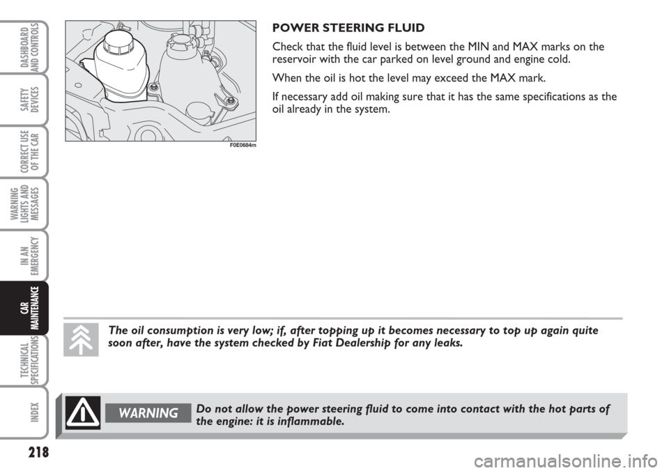 FIAT MULTIPLA 2007 1.G Owners Manual 218
SAFETY
DEVICES
CORRECT USE
OF THE CAR
WARNING
LIGHTS AND
MESSAGES
IN AN
EMERGENCY
TECHNICAL
SPECIFICATIONS
INDEX
DASHBOARD
AND CONTROLS
CAR
MAINTENANCE
POWER STEERING FLUID
Check that the fluid le