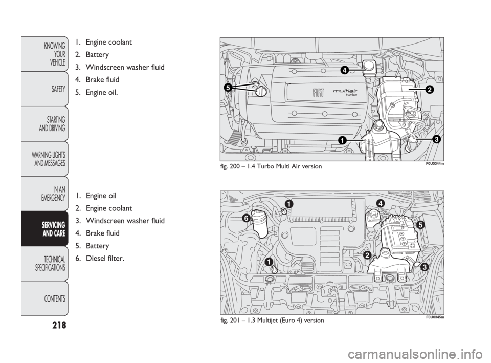 FIAT PUNTO EVO 2009 1.G Owners Manual 218
KNOWING
YOUR
VEHICLE
SAFETY
STARTING 
AND DRIVING
WARNING LIGHTS
AND MESSAGES
IN AN 
EMERGENCY
SERVICING 
AND CARE
TECHNICAL
SPECIFICATIONS
CONTENTS
1. Engine coolant 
2. Battery
3. Windscreen was