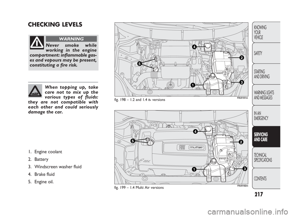 FIAT PUNTO EVO 2010 1.G Owners Manual 217
CHECKING LEVELSKNOWING
YOUR
VEHICLE
SAFETY
STARTING 
AND DRIVING
WARNING LIGHTS
AND MESSAGES
IN AN 
EMERGENCY
SERVICING 
AND CARE
TECHNICAL
SPECIFICATIONS
CONTENTS
fig. 198 – 1.2 and 1.4 8vversi