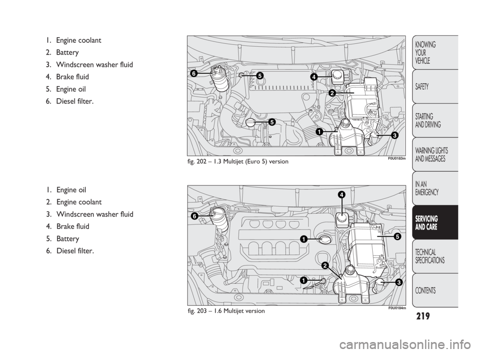 FIAT PUNTO EVO 2010 1.G Owners Manual 219
KNOWING
YOUR
VEHICLE
SAFETY
STARTING 
AND DRIVING
WARNING LIGHTS
AND MESSAGES
IN AN 
EMERGENCY
SERVICING 
AND CARE
TECHNICAL
SPECIFICATIONS
CONTENTS
1. Engine oil
2. Engine coolant
3. Windscreen w