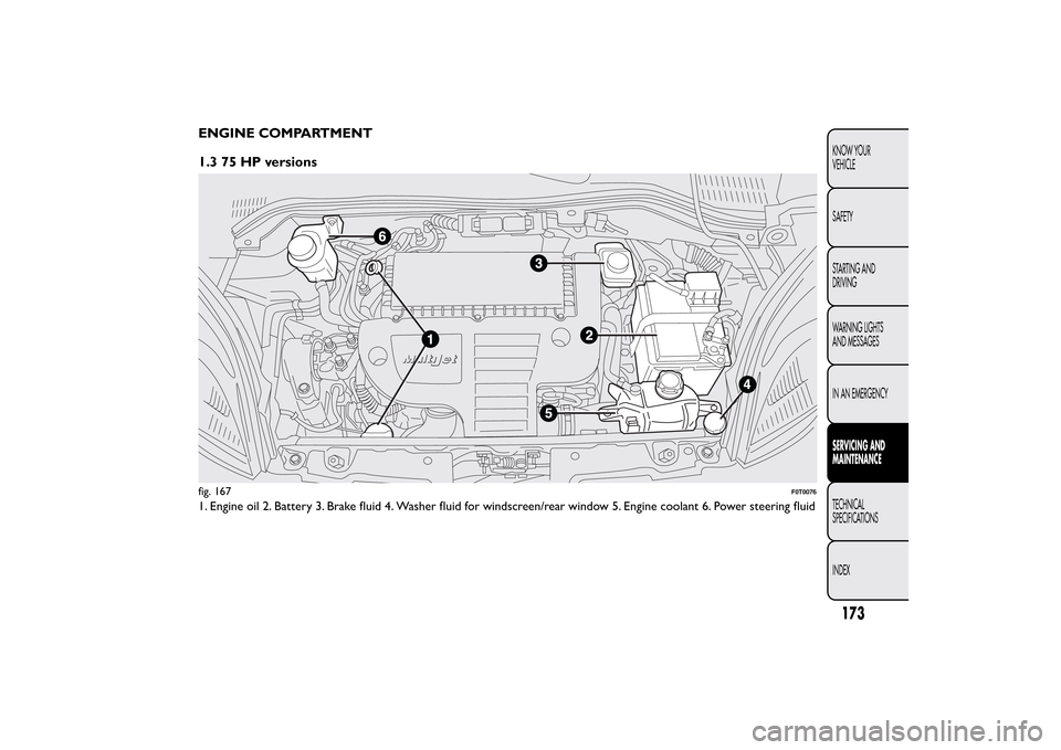 FIAT QUBO 2015 1.G Owners Manual ENGINE COMPARTMENT
1.3 75 HP versions1. Engine oil 2. Battery 3. Brake fluid 4. Washer fluid for windscreen/rear window 5. Engine coolant 6. Power steering fluidfig. 167
F0T0076
173KNOW YOUR
VEHICLE
S