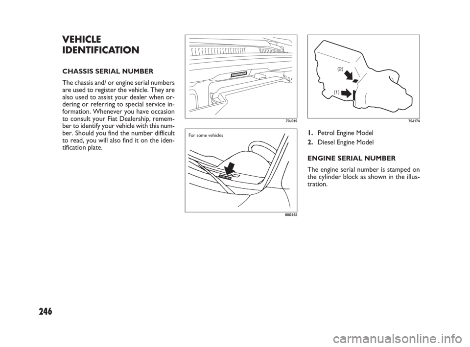 FIAT SEDICI 2009 2.G Owners Manual 246
1.Petrol Engine Model
2.Diesel Engine Model
ENGINE SERIAL NUMBER
The engine serial number is stamped on
the cylinder block as shown in the illus-
tration.
VEHICLE
IDENTIFICATION
CHASSIS SERIAL NUM