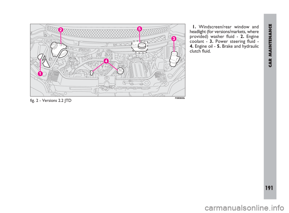 FIAT ULYSSE 2009 2.G User Guide CAR MAINTENANCE
191
1.Windscreen/rear window and
headlight (for versions/markets, where
provided) washer fluid -2.Engine
coolant - 3.Power steering fluid - 
4.Engine oil - 5.Brake and hydraulic
clutch