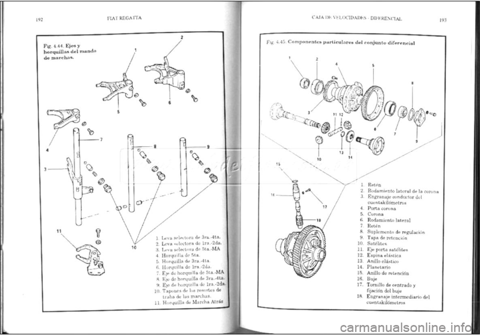 FIAT REGATA 1987  Service Repair Manual 