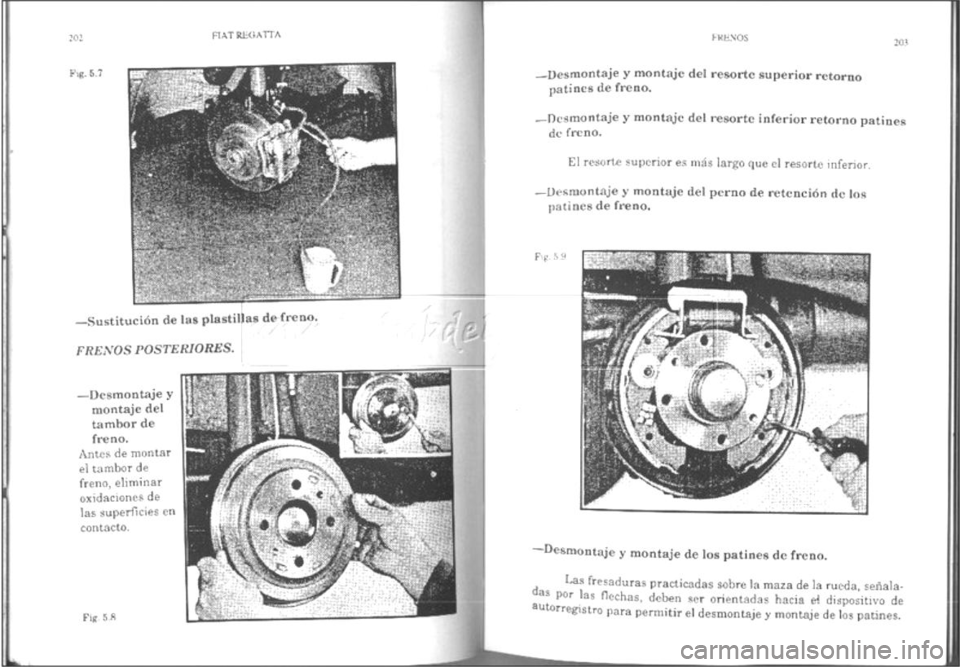 FIAT REGATA 1987  Service Repair Manual 