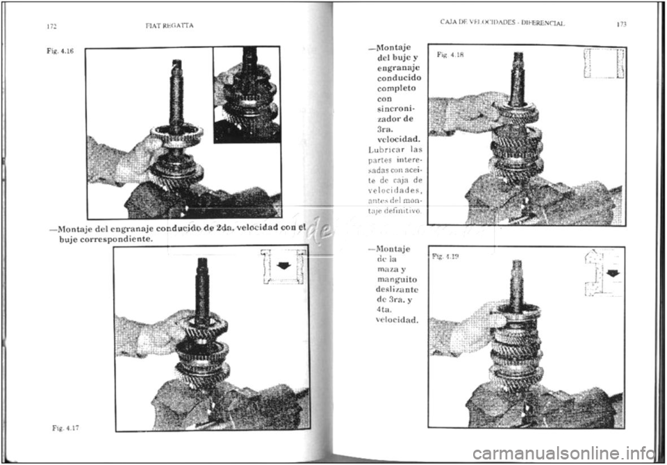 FIAT REGATA 1987  Service Owners Manual 