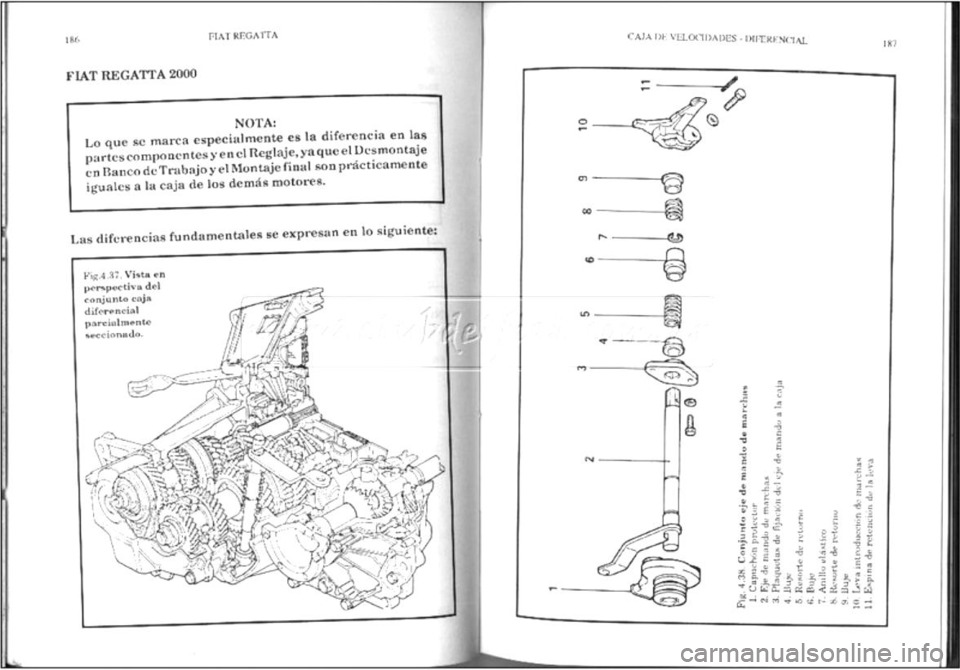 FIAT REGATA 1987  Service Owners Manual 