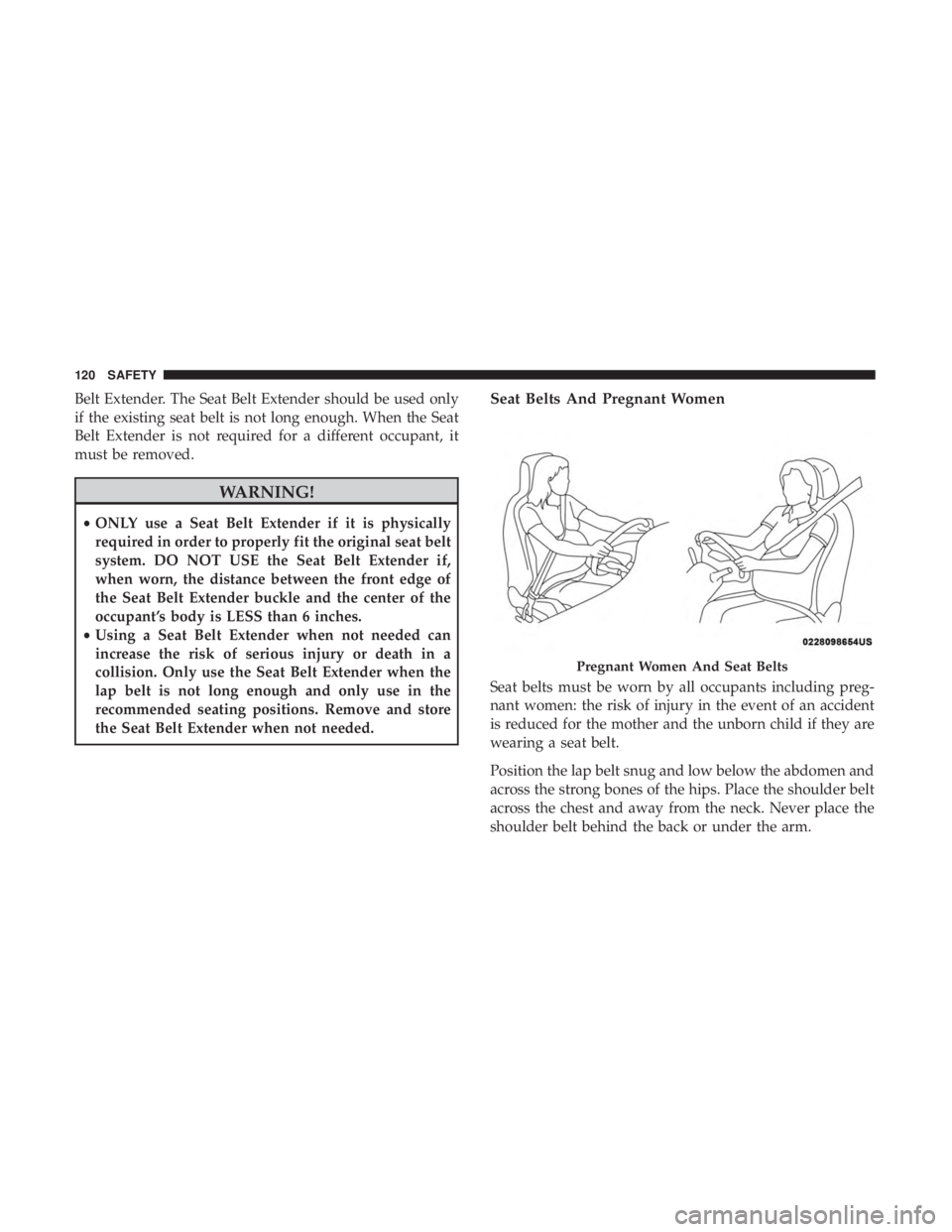 FIAT 500C 2018  Owners Manual Belt Extender. The Seat Belt Extender should be used only
if the existing seat belt is not long enough. When the Seat
Belt Extender is not required for a different occupant, it
must be removed.
WARNIN