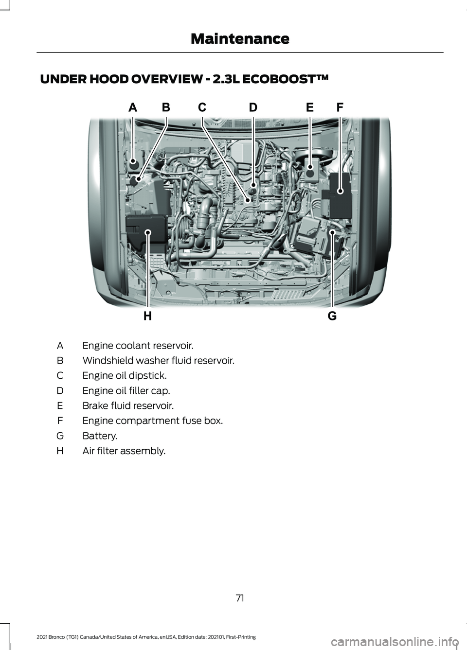 FORD BRONCO 2021  Warranty Guide UNDER HOOD OVERVIEW - 2.3L ECOBOOST™
Engine coolant reservoir.
A
Windshield washer fluid reservoir.
B
Engine oil dipstick.
C
Engine oil filler cap.
D
Brake fluid reservoir.
E
Engine compartment fuse