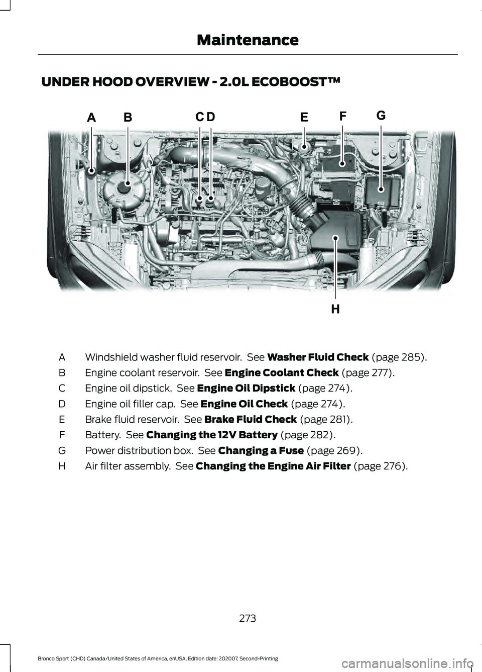 FORD BRONCO SPORT 2021 User Guide UNDER HOOD OVERVIEW - 2.0L ECOBOOST™
Windshield washer fluid reservoir.  See Washer Fluid Check (page 285).
A
Engine coolant reservoir.  See 
Engine Coolant Check (page 277).
B
Engine oil dipstick. 