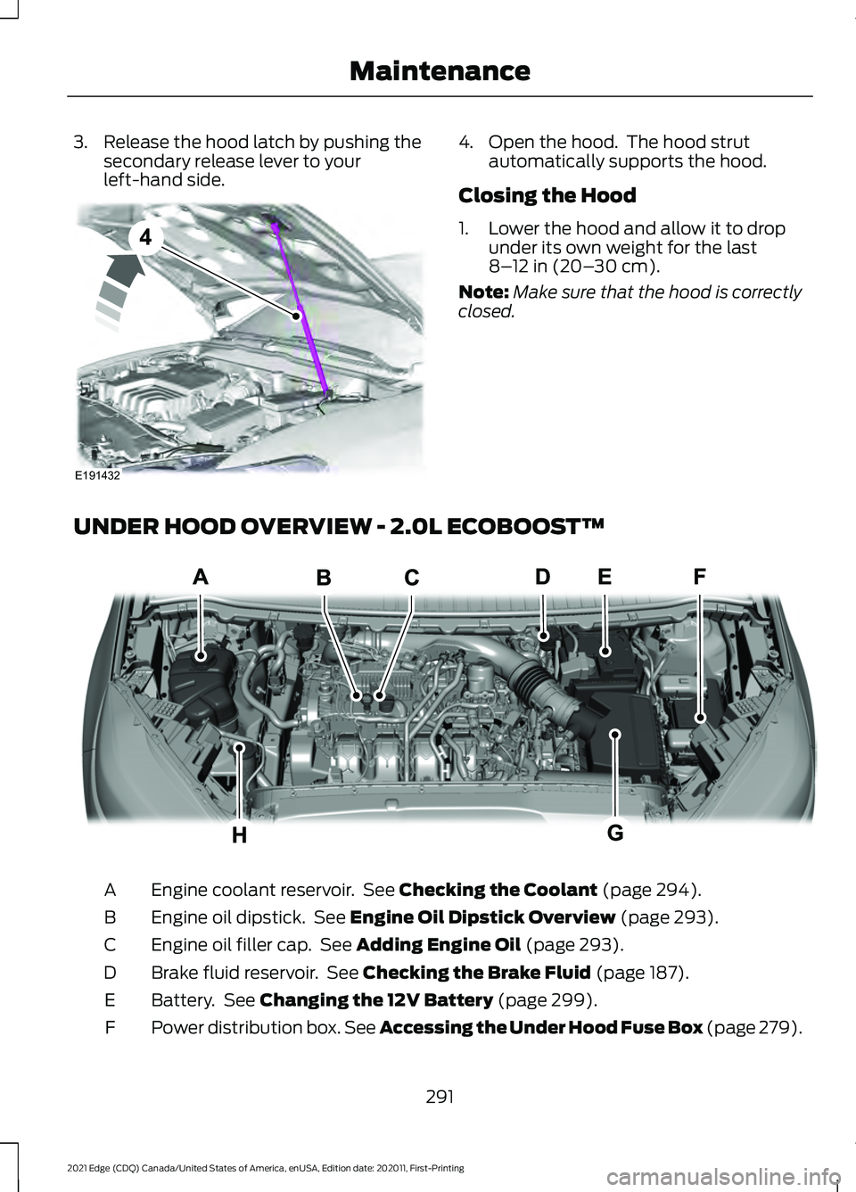 FORD EDGE 2021 Owners Manual 3. Release the hood latch by pushing the
secondary release lever to your
left-hand side. 4. Open the hood. The hood strut
automatically supports the hood.
Closing the Hood
1. Lower the hood and allow FORD EDGE 2021 Owners Manual 3. Release the hood latch by pushing the
secondary release lever to your
left-hand side. 4. Open the hood. The hood strut
automatically supports the hood.
Closing the Hood
1. Lower the hood and allow