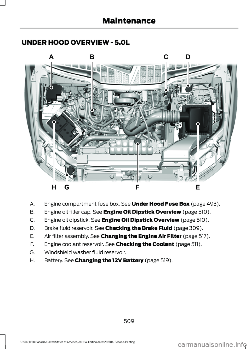 FORD F-150 2021  Owners Manual UNDER HOOD OVERVIEW - 5.0L
Engine compartment fuse box. See Under Hood Fuse Box (page 493).
A.
Engine oil filler cap.
 See Engine Oil Dipstick Overview (page 510).
B.
Engine oil dipstick.
 See Engine 
