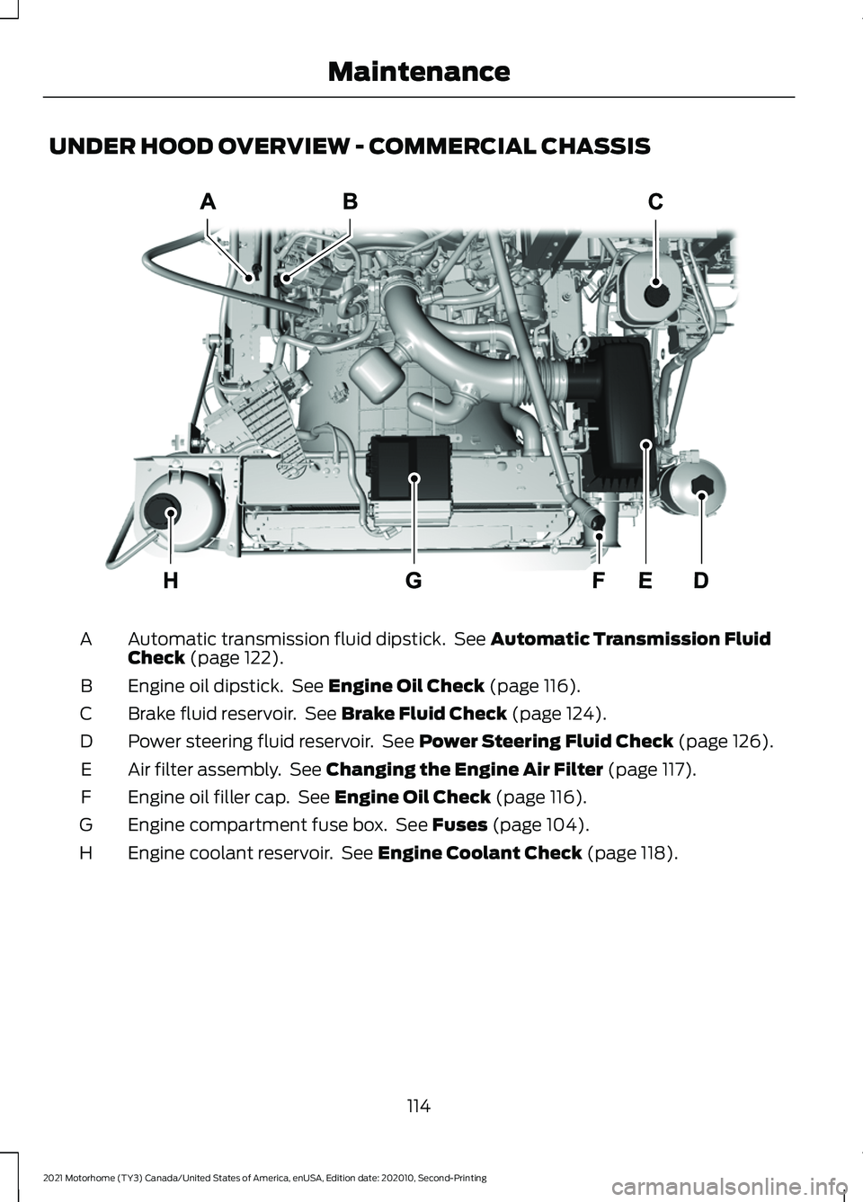FORD F-53 2021  Owners Manual UNDER HOOD OVERVIEW - COMMERCIAL CHASSIS
Automatic transmission fluid dipstick.  See Automatic Transmission Fluid
Check (page 122).
A
Engine oil dipstick.  See 
Engine Oil Check (page 116).
B
Brake fl