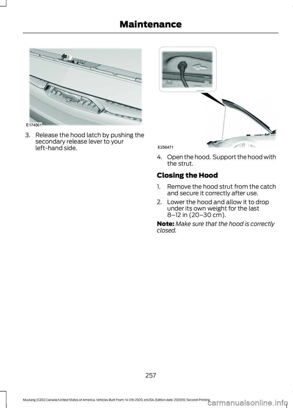 FORD MUSTANG 2021 Owners Manual 3. Release the hood latch by pushing the
secondary release lever to your
left-hand side. 4.
Open the hood. Support the hood with
the strut.
Closing the Hood
1. Remove the hood strut from the catch
an FORD MUSTANG 2021 Owners Manual 3. Release the hood latch by pushing the
secondary release lever to your
left-hand side. 4.
Open the hood. Support the hood with
the strut.
Closing the Hood
1. Remove the hood strut from the catch
an